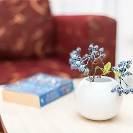 アパート Complex Severina